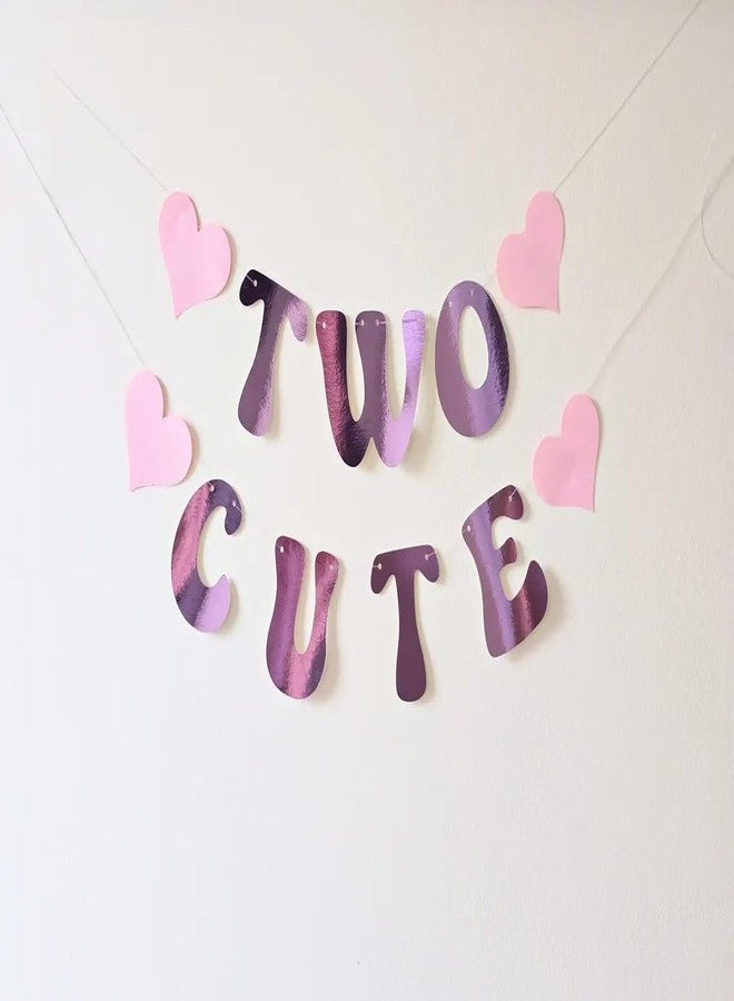 Haoser Two Cute 2nd Birthday Banner - Lilac Party Decoration for baby| Paper Letters | Nursery Gift & Birthday Backdrop | Two Year Old Cake Smash Decor (Purple) - Image 1